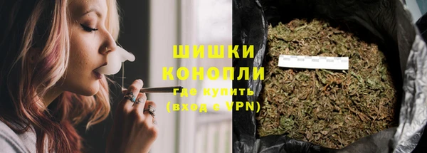 ГАЛЛЮЦИНОГЕННЫЕ ГРИБЫ Пересвет