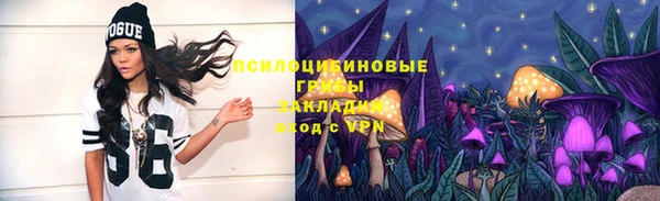 ГАЛЛЮЦИНОГЕННЫЕ ГРИБЫ Пересвет