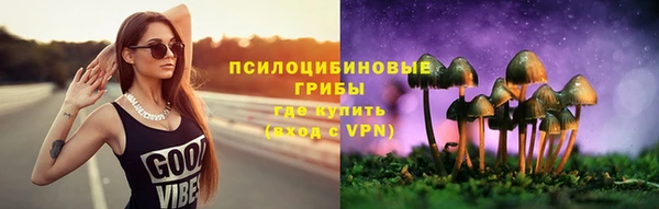 хмурый Пестово