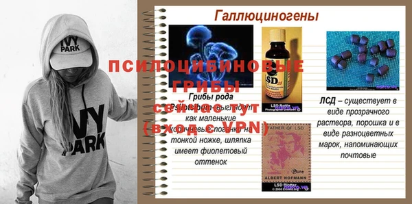 хмурый Пестово
