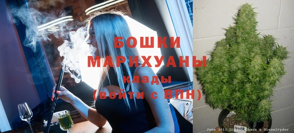ГАЛЛЮЦИНОГЕННЫЕ ГРИБЫ Пересвет