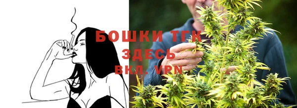 ГАЛЛЮЦИНОГЕННЫЕ ГРИБЫ Пересвет