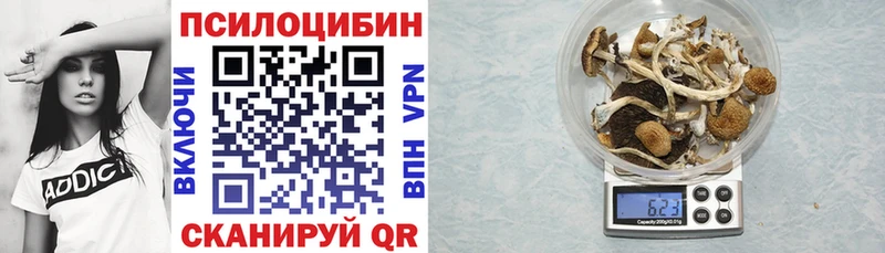 Псилоцибиновые грибы Cubensis  Купить закладки  Солнечногорск 